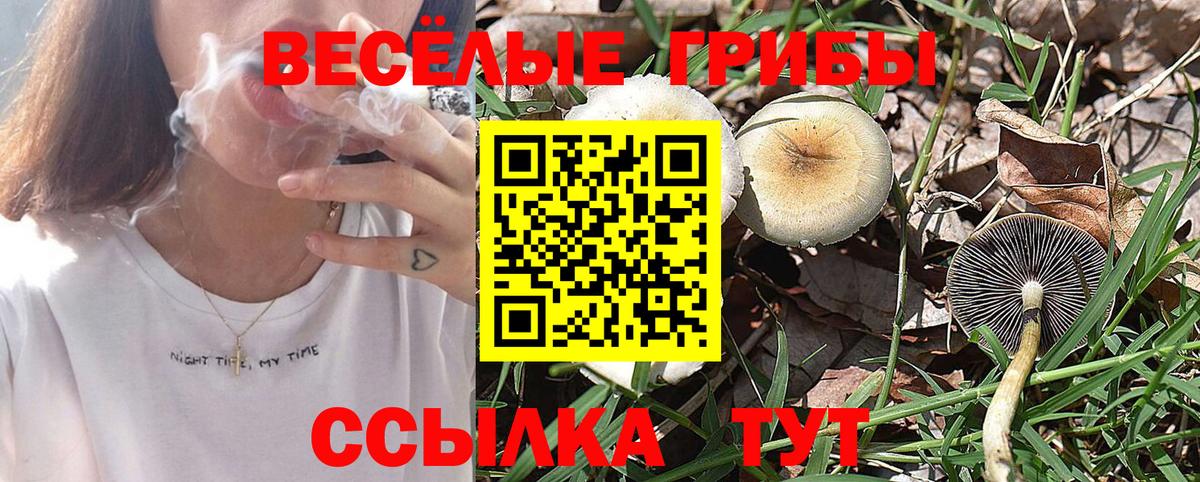Галлюциногенные грибы прущие грибы Абакан